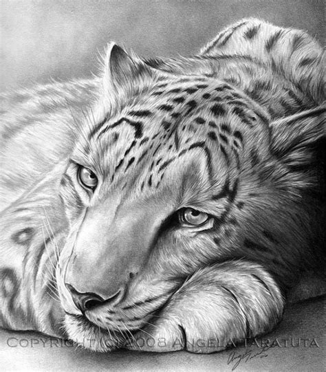 A pencil is a kind of writing equipment that is also used to draw, usually on paper. 85 Simple And Easy Pencil Drawings Of Animals For Every ...