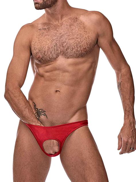 Roxana in nylon spandex brought to you by xxxbunker.com. Nylon Spandex Pouchless Brief | Open Crotch Underwear ...