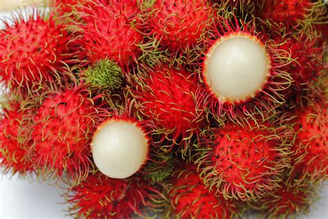 What fruit looks like a sea urchin? #IndonesianFruit: Rambutan or Hairy Lychee - Indoindians.com