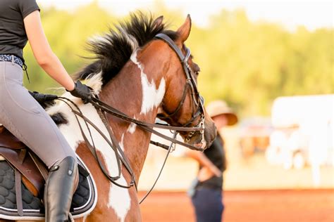 The pottery barn credit card hopes to attract users with a generous, 10% cashback offer or the promise of special financing on purchase over i mean, really: academy information - Cadence Equestrian