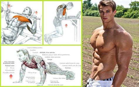 How do you get chest muscles fast? How to Build a Big Chest - Three Exercises You Probably ...