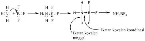 We did not find results for: Proses Pembentukan Ikatan Kovalen Koordinasi - MateriKimia