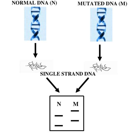 If you already have a particular job or organization in mind. Concise presentation of SSCP method | Download Scientific ...