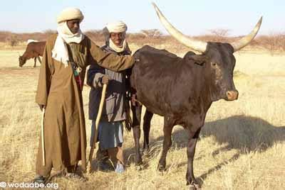 Sanda bororo is on facebook. Wodaabe