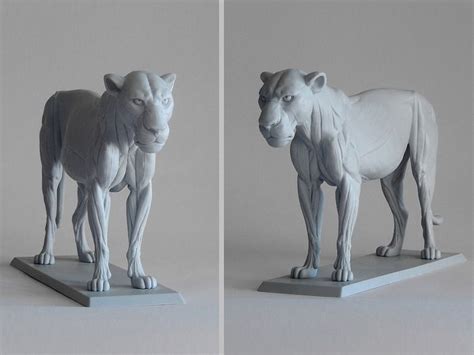 The spine provides support to hold the head and body up straight. Big Cat Anatomy Sculpture - Lioness | 動物, 猫, 作品