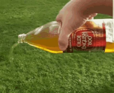 Pour Beer GIFs | Tenor