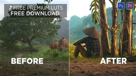 In today's post we'll be sharing an exclusive free pack of luts to use in your projects! 7 Free Premium Cinematic Luts | Adobe premiere pro