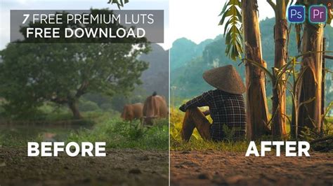 Adobe premiere pro is the leading video editing software for film, tv, and the web. 7 Free Premium Cinematic Luts | Adobe premiere pro