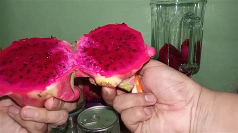 Ambil pekatan yang dihasilkan itu dan embunkan semalaman. khasiat buah naga|sakit kulit/daya tahan tubuh/gula darah ...