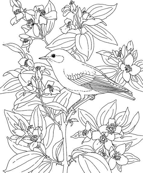 Thousands pictures for downloading and printing! Birds And Flowers Coloring Pages - Coloring Home