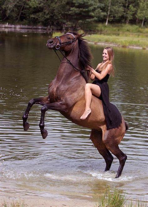 Google bilder, die umfassendste bildersuche im web. Echt coole Frau reitet Pferd im Wasser. (mit Bildern ...