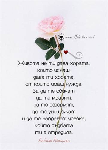 Я худая но живот как убрать