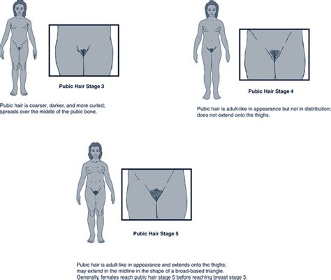 To the uninitiated a female cat in heat may appear in great pain, so avoid an. Developmental Management of Adolescents | Obgyn Key