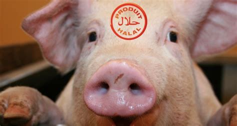 Religiously, haram is perceived indecent, or sinful. Le faux porc halal qui fait le buzz sur les réseaux sociaux