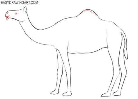 This class is going to trigger and run tests on the example route. How to Draw a Camel | Easy Drawing Art