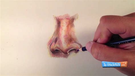 Uni ball signo um153 1.0mm paper: How to Draw a Realistic Nose in Colored Pencils - YouTube