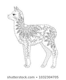 Use this lesson in your classroom, homeschooling curriculum or just as a fun kids activity that you as a parent can do with your child. Baby alpaca. Hand drawn llama for adult coloring page ...