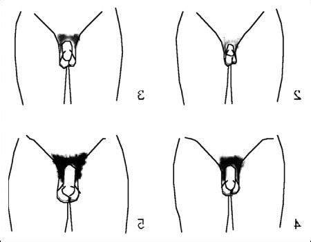 Pubic and armpit hair also usually begins to thin out significantly starting around when people hit their fifties, perhaps another indicator it's all about finding a compatible it was common at this time to cut off some of your pubic hair and give it to a lover as a gift. Pin on Hairstyles for men