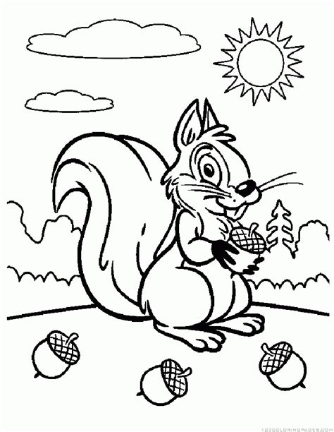 Print and color fall pdf coloring books from primarygames. Squirrel Coloring Pages