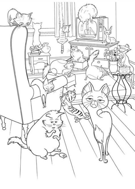 736x568 las mejores sobre family fun en. Kids-n-fun.com | 29 coloring pages of Secret Life of Pets