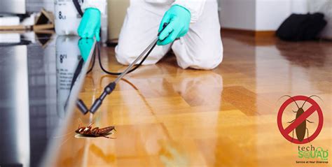 The key to control cockroaches control in bangalore is properly placing insecticides where the cockroaches will contact follow these few tips cockroaches control service in bangalore 8. Best Pricing for Affordable and Reliable Pest Control ...