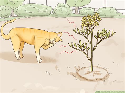 Similar to how the water sprinklers work, ultrasonic cat deterrents will emit a very high frequency when they while it might not make your garden look pretty, it's a simple solution to keep them at bay. How To Keep Stray Cats From Pooping In My Garden