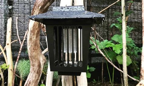We did not find results for: 10 Best Solar Bug Zapper in 2021 - Reviews and Buyer's Guide