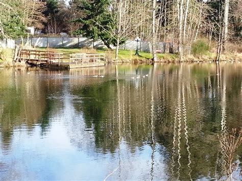 Maybe you would like to learn more about one of these? Lakeside RV Park - Everett, WA - RV Parks - RVPoints.com