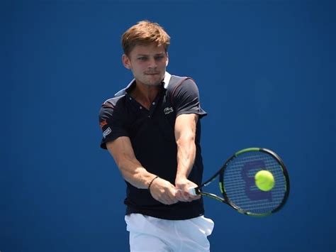 Во втором круге сыграют банжамин бонзи и давид гоффин. David Goffin's Tennis Racquet | Tennisnerd.net