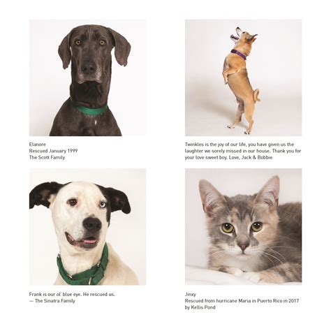 This weekend is the busiest time for animal shelters and the tulsa humane society looks to make more room by getting some pets to their forever homes. The ARF Yearbook | Animal Rescue Fund of the Hamptons