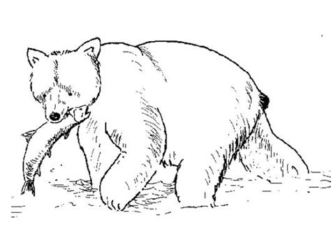 This drawing was made at internet users' disposal on 07 february 2106. Honey-lover Bear 20 Bear coloring pages | Free Printables