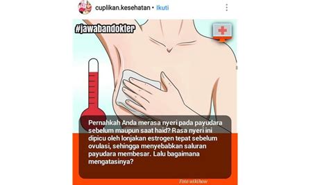 Meskipun sampai saat ini penyebab pasti nyerinya payudara saat haid masih belum diketahui, namun diduga kuat hal tersebut terjadi karena fluktuasi hormonal yang terjadi saat haid khusunya peningkatan kadar estrogen dan progesteron seminggu sebelum haid. Payudara Terasa Nyeri