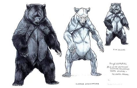 Subscribe to the proko newsletter and receive a free art model sample pack. drawing art black draw animal bear brown Anatomy Bears ...