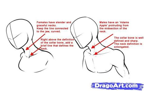 Name the 2 surfaces the clavicle articulates with. How to draw anime necks | Como dibujar bien, Tutorial de ...