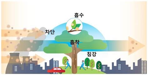 정확한 날씨 (기온, 예보) 정보까지 한눈에! 조경 - 숲(식물)의 미세먼지 저감 과정