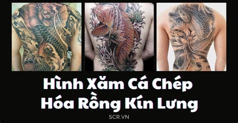 Thế nên hình xăm về rồng được xem là thách thức lớn đối với các nhà tạo mẫu hình xăm cho các men. Ý Nghĩa Hình Xăm Cá Chép Hóa Rồng ️️ Bí Mật Siêu Hay