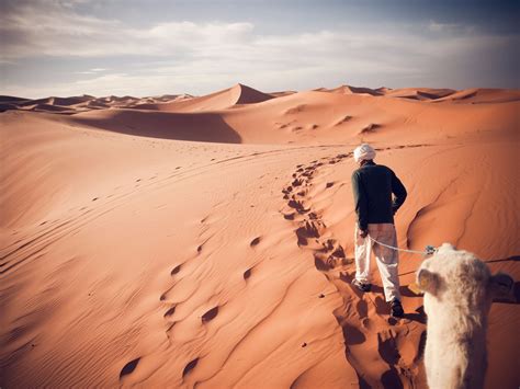 أ.د/ نانسى يوسف اسعد يوسف نائب رئيس الجامعة لشئون التعليم والطلاب. ديار التركمان - موقع المخرج عبدالله المخيال