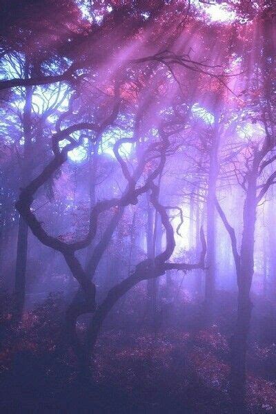 ριитєяєѕт // кαтєяι¢αмρвєℓℓ | Violet aesthetic, Purple ...