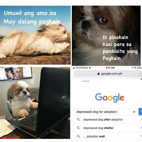 Pin by wandergirl213 on MeMe | Filipino funny, Filipino ...