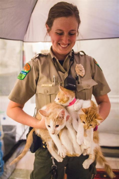 Adoption processthe wadena county humane has an adoption process to assist in matching the animal with the right home, for both the pet and owner. Pets for Adoption at Minneapolis Animal Care and Control ...