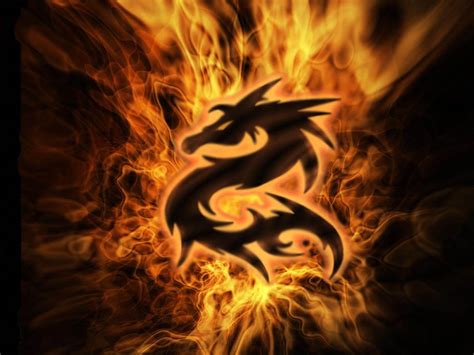 All rights reservedthis dragons' den channel is managed by sony pictures television. 3D Dragon Wallpapers - We Need Fun