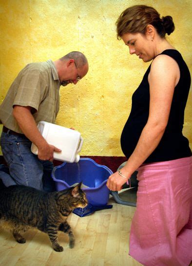 They can be due to pregnancy hormones as well dreams of what your baby will be like might reveal a wide variety of feelings. Free picture: pregnant, woman, pet, cat, husband, process ...