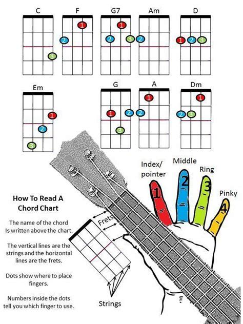 Reading music for ukulele is easy! Check out great guitar tips 8335 #guitartips | Ukulele ...