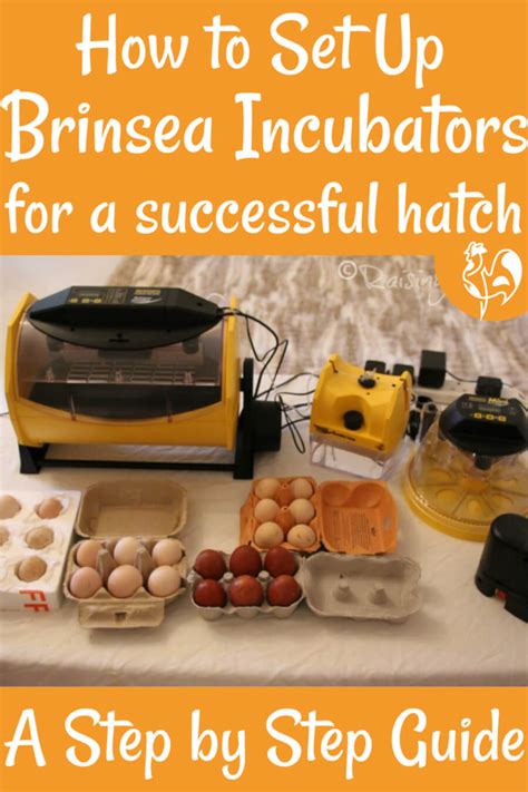 What is the incubation temperature for duck eggs? How to set up the Brinsea Mini Advance egg incubator.