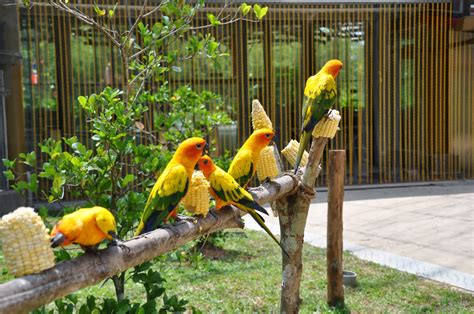 Rahsia taman lagenda langkawi (legenda park). 9 Tempat Menarik di Sekitar Ayer Keroh Melaka - Anugerah ...