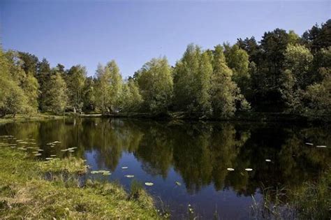 E fidjane, kristiansand sist oppdatert: Otoczenie - Picture of Villa Baneheia, Kristiansand - TripAdvisor