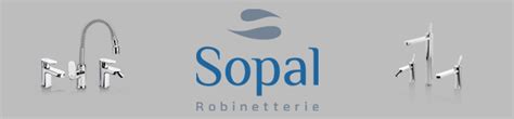 To connect with sopal's employee register on signalhire. SOPAL