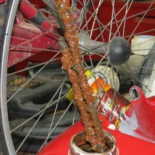 You can see a thin layer of red rust on most of the inside. Electrolytic Rust Removal From a Motorcycle Gas Tank | Gas ...