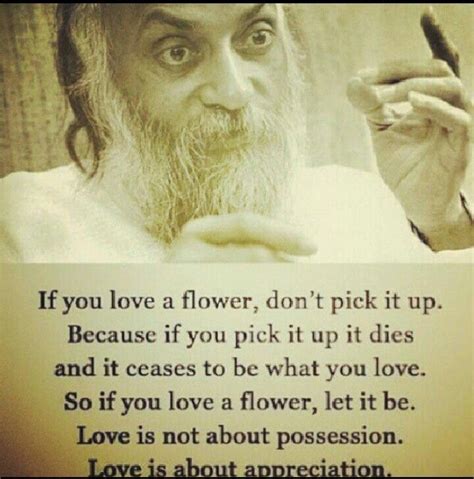 Looking for quotes about possessions ? Love is not about possession. Love is about appreciation. | Brilliant quote, Osho quotes, Up quotes