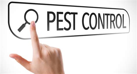 Does the pest control service you choose cover the types of pests you have? Tips for Choosing a Pest Control Company | Parsons Pest ...